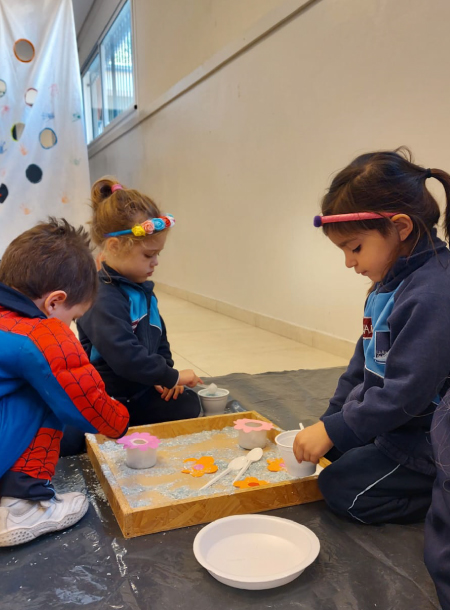 Novedades La Asunción de la Virgen