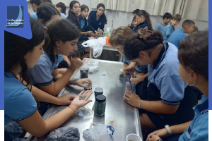 Ciencias en el Laboratorio 5° y 6° año